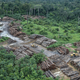 Deforestation was a problem even in 2018. Things aren’t looking better now.